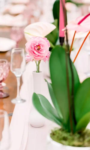 Chantelle & Francois 11