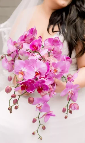 Chantelle & Francois 13