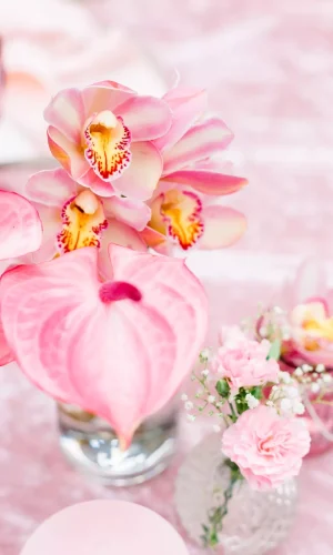 Chantelle & Francois 4