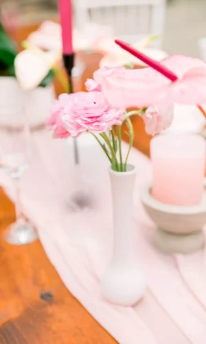 Chantelle & Francois 8