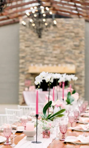 Chantelle & Francois 9